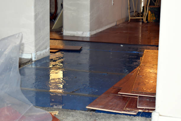 Professional Water Damage Restoration technician working in Dallas, WV